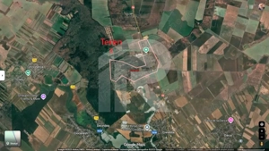 Refugiu la marginea padurii — 2822 mp de liniste in Cocani. - imagine 2