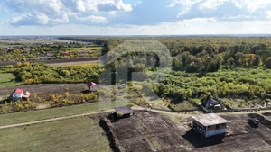 Refugiu la marginea padurii — 2822 mp de liniste in Cocani. - imagine 6