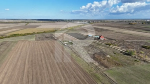 Refugiu la marginea padurii — 2822 mp de liniste in Cocani. - imagine 7