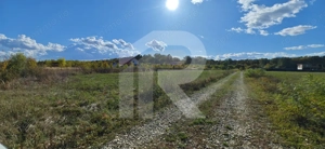 Refugiu la marginea padurii — 2822 mp de liniste in Cocani. - imagine 9