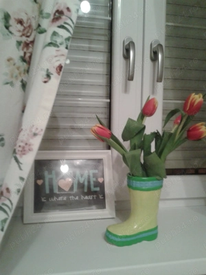 Drumul TABEREI - parc Moghioros 