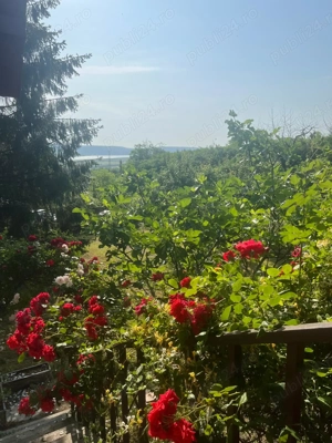 Casa de vanzare, in Dobrogostea, la 5 km de Pitesti - imagine 2 Casa de vanzare, in Dobrogostea, la 5 km de Pitesti - imagine 2