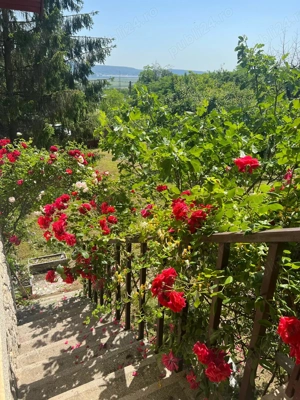 Casa de vanzare, in Dobrogostea, la 5 km de Pitesti - imagine 8 Casa de vanzare, in Dobrogostea, la 5 km de Pitesti - imagine 8