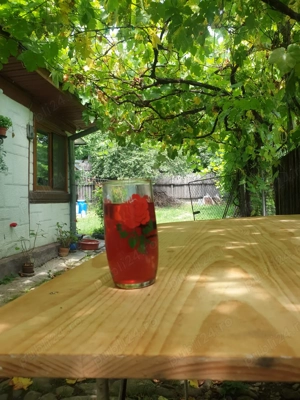 Ofer cazare gratuita! - imagine 2 Ofer cazare gratuita! - imagine 2