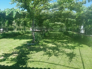 Teren intravilan 2159 mp   Tropinii Noi, Sibiu  lângă Pădurea Dumbrava - imagine 3