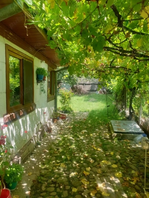 Ofer cazare gratuita!