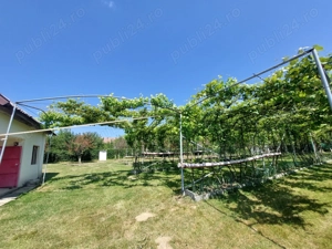 Teren intravilan 2159 mp   Tropinii Noi, Sibiu  lângă Pădurea Dumbrava - imagine 5