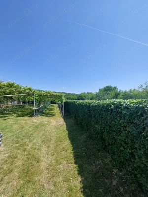 Teren intravilan 2159 mp   Tropinii Noi, Sibiu  lângă Pădurea Dumbrava - imagine 4