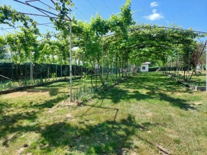 Teren intravilan 2159 mp   Tropinii Noi, Sibiu  lângă Pădurea Dumbrava - imagine 9