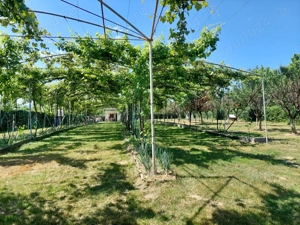 Teren intravilan 2159 mp   Tropinii Noi, Sibiu  lângă Pădurea Dumbrava - imagine 10