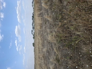 Teren Intravilan 408mp  - imagine 2