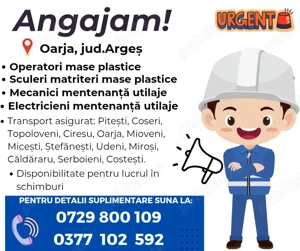 OPERATORI mase plastice   SCULERI MATRITERI mase plastice   ELECTRICIENI mentenanta -  Oarja