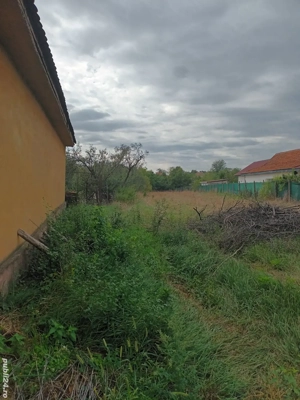 teren intravilan Petrovaselo, Recas - imagine 3