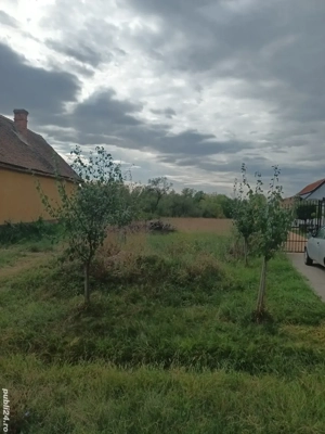 teren intravilan Petrovaselo, Recas - imagine 6