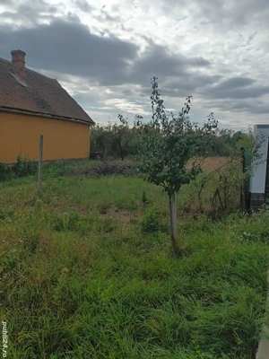 teren intravilan Petrovaselo, Recas - imagine 4