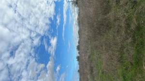 1200MP Vand Teren Intravilan Adunatii Copaceni Aproape de DN5 - imagine 4