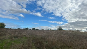 1200MP Vand Teren Intravilan Adunatii Copaceni Aproape de DN5 - imagine 5