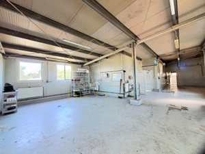 Hala de depozitare sau productie 615 mp I Mehala