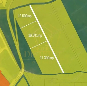 Teren intravilan 50.000mp | Sacalaz |