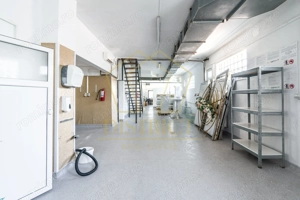 COM 0% Casa cu hala industriala, birouri si teren 1667mp | Mehala - imagine 15