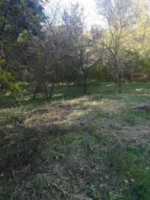 Vand Teren Herghelia, Jud. Mures