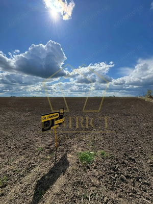 Teren extravilan pentru constructii industriale 5ha | Sag | Frigoglass - imagine 3