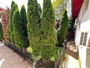 Casa/pensiune cu 13 apartamente si anexe | Olimpia - Stadion - imagine 10 Casa/pensiune cu 13 apartamente si anexe | Olimpia - Stadion - imagine 10