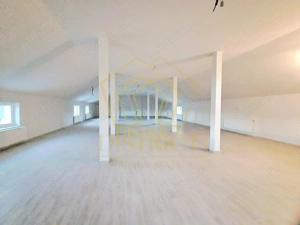 Spatiu Comercial tip Hala I Giroc - imagine 11