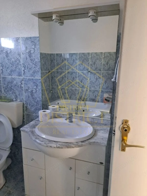 Spatiu comercial util compartimentat I Lipovei - imagine 8 Spatiu comercial util compartimentat I Lipovei - imagine 8