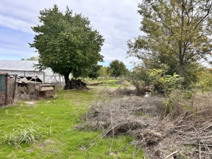 Casa cu teren comuna cuza vodă, Călărași  - imagine 7