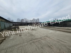 Hale + parcare betonată în Curtea de Argeș. - imagine 4