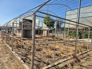 Vânzare casă cu teren impresionant, în Targu Jiu, strada Slobozia - imagine 9 Vânzare casă cu teren impresionant, în Targu Jiu, strada Slobozia - imagine 9