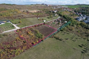 TEREN 1000 MP in Cluj-Napoca BORHANCI   oportunitate investitie