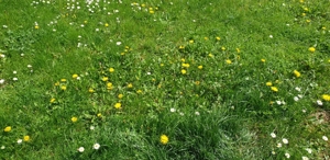 Se vinde teren intravilan 