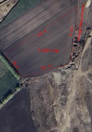 Teren pentru hala - Biharia - IMOBIHOR  - imagine 4