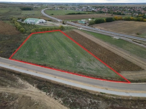 Teren pentru hala - Biharia - IMOBIHOR  - imagine 2