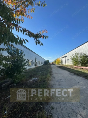 Hale industriale 2 x 1920mp DN1 de inchiriat la 3.9 euro mp neg. - imagine 6