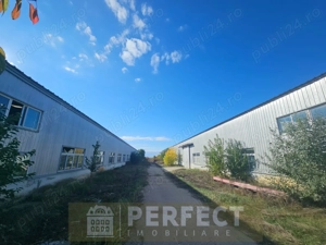 Hale industriale 2 x 1920mp DN1 de inchiriat la 3.9 euro mp neg. - imagine 4