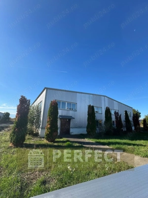 Hale industriale 2 x 1920mp DN1 de inchiriat la 3.9 euro mp neg. - imagine 5