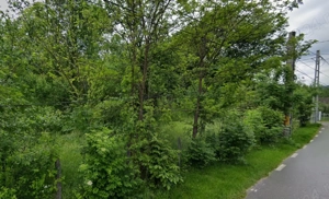 Teren intravilan 3.788 mp   utilitati, drum asfaltat, vedere superba Costești, Fieni, Dambovita - imagine 4