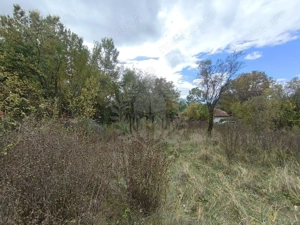 TEREN INTRAVILAN// CORNU DE JOS - imagine 4