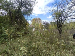 TEREN INTRAVILAN// CORNU DE JOS - imagine 2