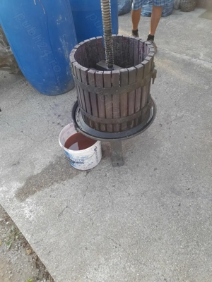 Vând zdrobitor de struguri și presă - imagine 3