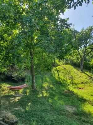 Teren si casa de vacanta ecologica in Stancesti - imagine 3