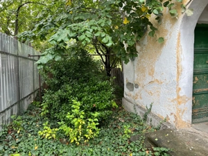 Bucurestii- Noi - zona Bazilescu, str. Pietei - imagine 8