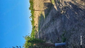 Vind teren intravilan iepuresti județul Giurgiu 