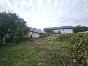 Teren de vanzare 1000mp in Stefanestii de Jos, la sosea si cu utilitati - imagine 9