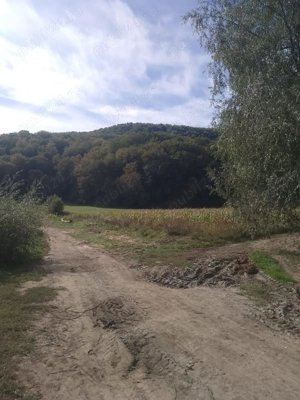 Vand Teren Viile Dejului  - imagine 3