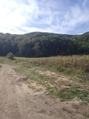 Vand Teren Viile Dejului  - imagine 2