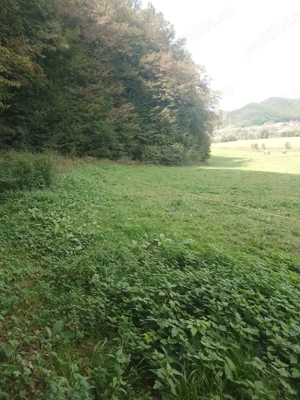 Vand Teren Viile Dejului  - imagine 8